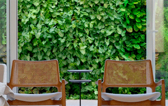 Jardim vertical WallGreen®: expansível, inovador e sustentável